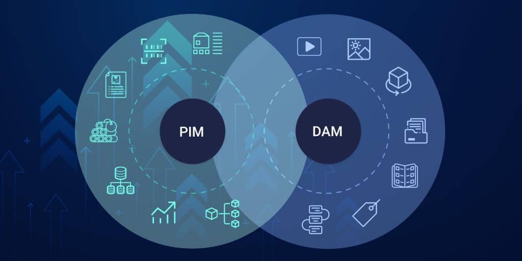 Cooperation between PIM & DAM