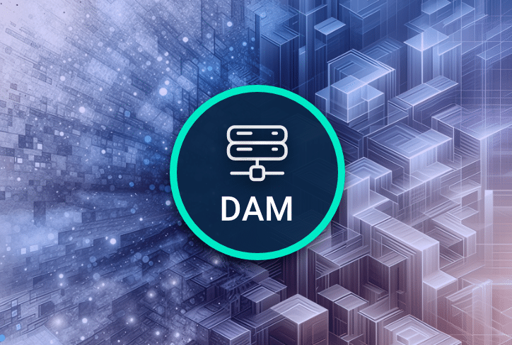 What is DAM