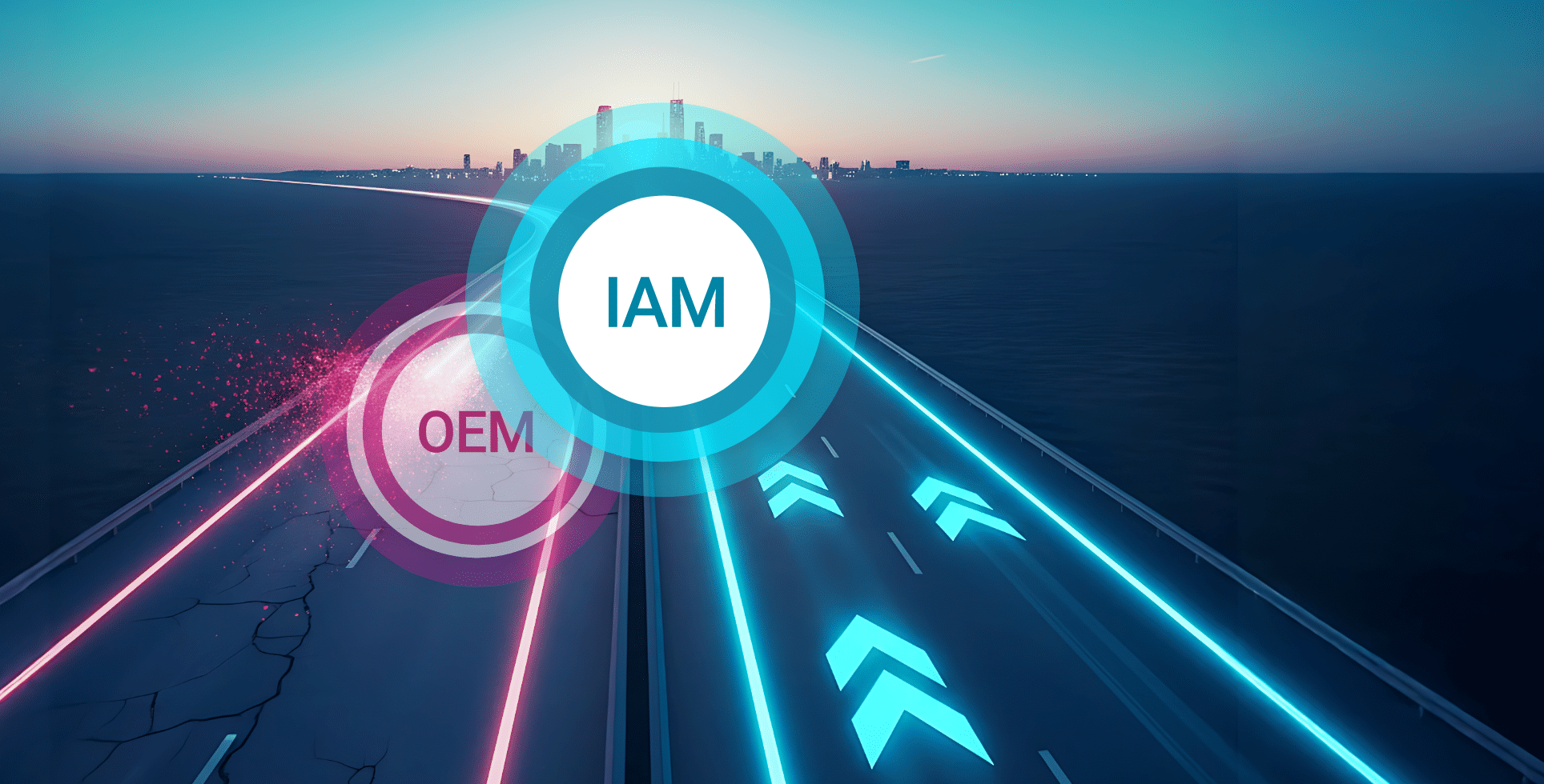 IAM vs OEM