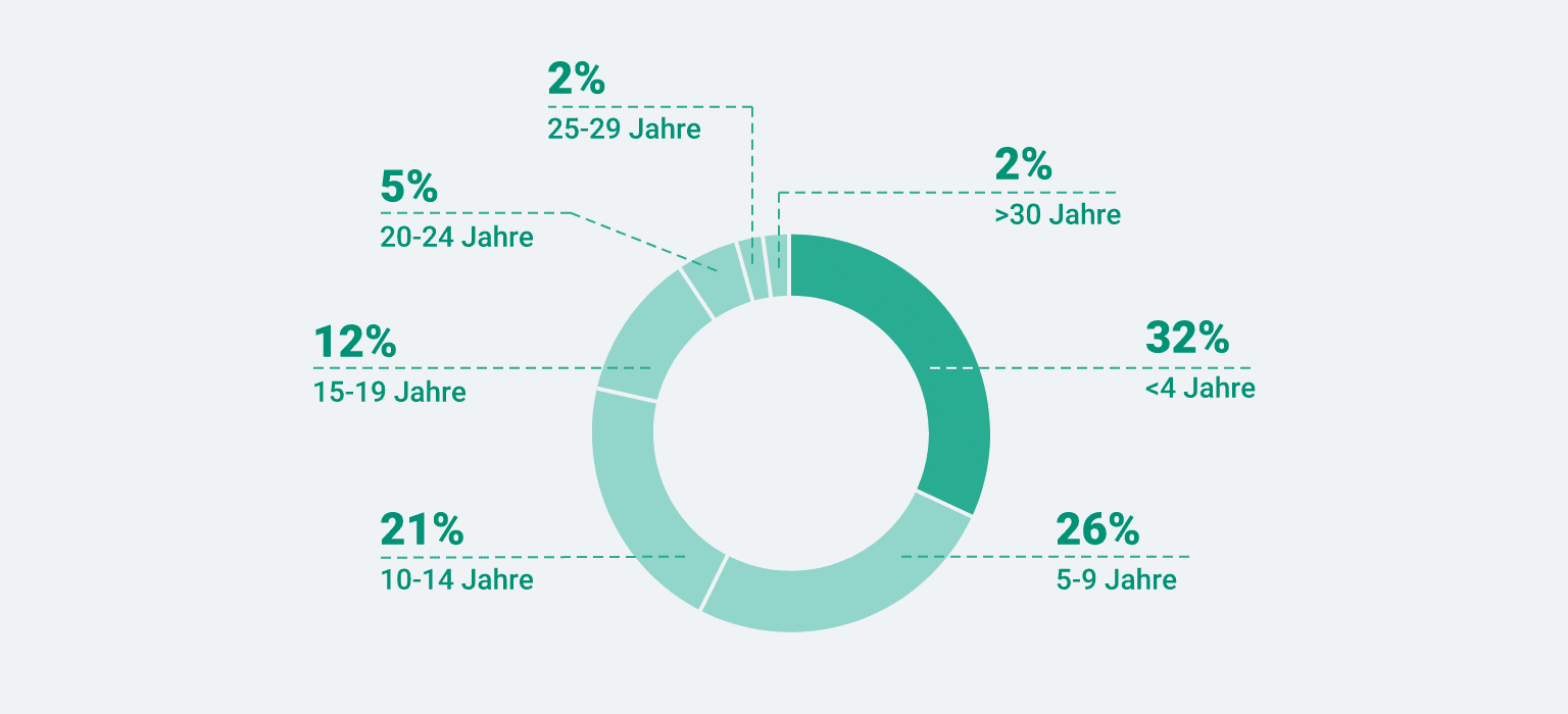 Durchschnittsalter Autos Deutschland