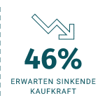 sinkende Kaufkraft um 46% sinkende Kaufkraft